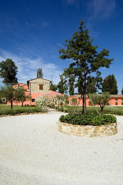 Agriturismo Casale Le Selvette Ripa Экстерьер фото