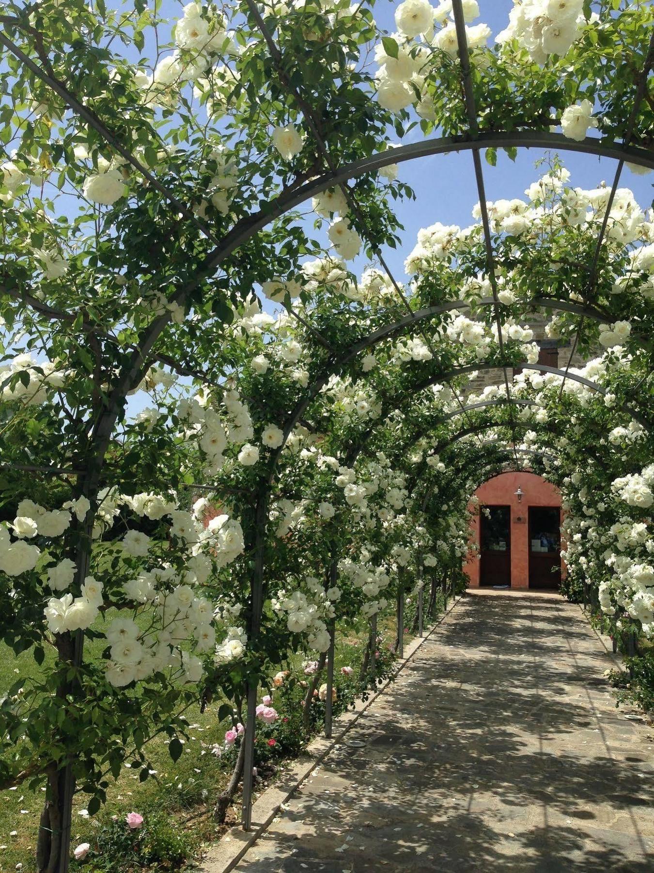 Agriturismo Casale Le Selvette Ripa Экстерьер фото